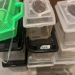 虫かご中古9個の画像