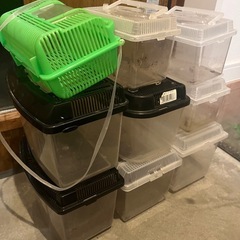 虫かご中古9個の画像