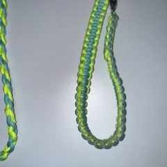 ペット用リード 水色×黄緑の画像