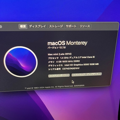 Apple アップル Mac mini Late2014 A1347 動作確認済