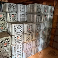 【大量注文のため受付一時停止します10/29】コンテナ　農業／採集／収穫用　4個1000円　10個2000円　　　の画像