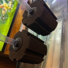 gex ニッソー　60 曲げ水槽　2つ　gex水槽台の画像