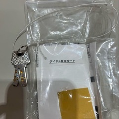 Sky Safe 耐火金庫 B5-DKの画像