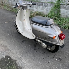ホンダ　ジョルノAF24の画像