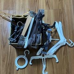 洋服ハンガー（子供用ハンガーを含む）の画像