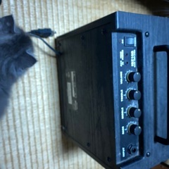 アンプ小さめの画像