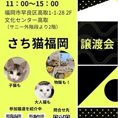 11/9 さち猫福岡譲渡会　文化センター高取