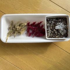 ケイトウ・セロシアの種の画像