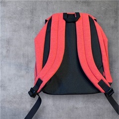 【新品未使用タグ付】チャムス バックパック　リュックの画像