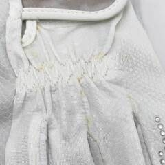 IMPERIAL RIDING インペリアルライディング Fancy ラインストーン ライディング グローブ S ホワイト KL50314000 レディース 乗馬 馬術の画像