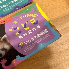 水族館　動物園　チケットの画像