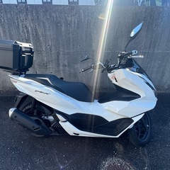 PCX 125cc   ホワイト　美品　お渡し先決まりました。の画像