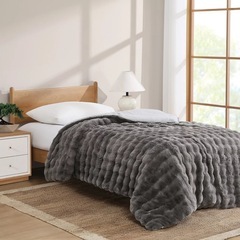 コストコFuture Soft 掛け布団 150 x 210cmの画像