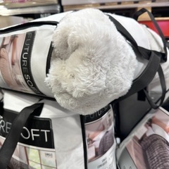 コストコFuture Soft 掛け布団 150 x 210cmの画像