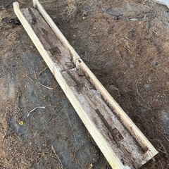 高設栽培用 発泡スチロールベッド（多数あり）の画像