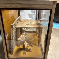 【貰ってください】小動物ケージの画像