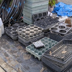 花鉢用トレイの画像