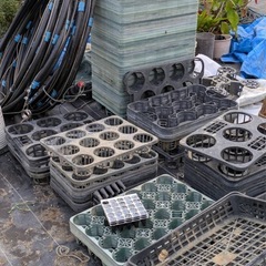 花鉢用トレイの画像