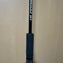 ゼスタ　アサルトジェット　タイプS 80ml80MLの画像