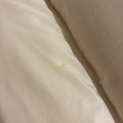 Francfranc 座椅子の画像