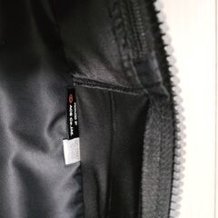 【無料】ACE キャリーバッグの画像