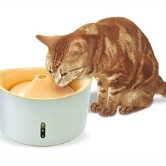 猫 飼い始めセットの画像