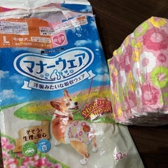 お試しにも　計50枚　犬用オムツ　マナーウェア　M、Lサイズの画像