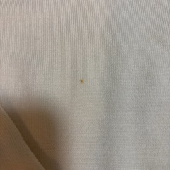 Paul Stuart アイボリー Vネック ニット Mの画像