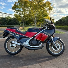 絶版2スト車！ガンマ250 Walter Wolfカラー　エンジン実動　美車の画像