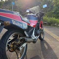 絶版2スト車！ガンマ250 Walter Wolfカラー　エンジン実動　美車の画像