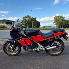 絶版2スト車！ガンマ250 Walter Wolfカラー　エンジン実動　美車の画像