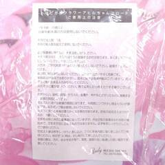 【未使用】Rady BEACH COLLECTION トロピカル フラワー アヒルちゃん フロート 浮き輪 ノベルティの画像