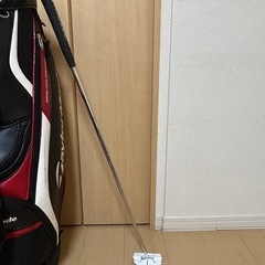 【特典付き】テーラーメイド パターの画像