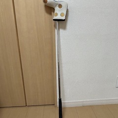 【特典付き】テーラーメイド パターの画像