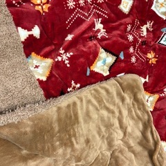 こたつ掛け布団の画像