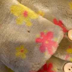 アナップキッズアウターとスカートの画像