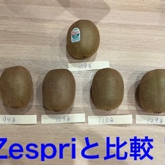 キウイフルーツ8☆11/1(土)受渡分[決定]の画像