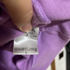 RVCA ルーカ プルオーバーパーカーの画像