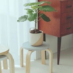 マメスタッキングスツールの画像