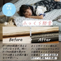 ラグ　カーペット　厚手　下敷きの画像