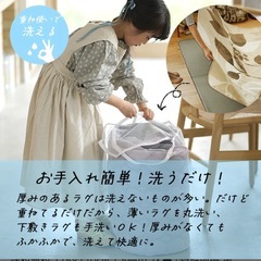 ラグ　カーペット　厚手　下敷きの画像