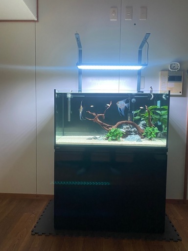 水槽と水槽台とライトスタンド