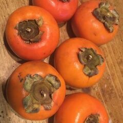 ★柿の王様⁉ 富有柿 5個 ビタミンC豊富で果物の王様!!★ の画像