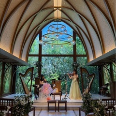 ヴァイオリン習ってみませんか🎻