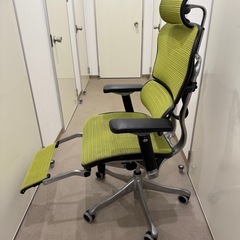 エルゴヒューマン　プロ　オットマン付　レアカラーの画像