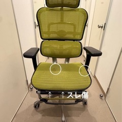 エルゴヒューマン　プロ　オットマン付　レアカラーの画像