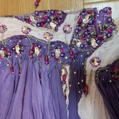 ベリーダンス衣装の画像