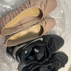 22.5cm パンプスとナイキのスニーカーの画像