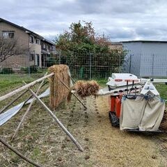 無肥料・無農薬の稲藁を正月の飾りや畑に使ってみませんか？の画像