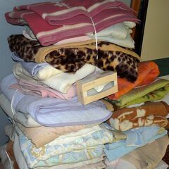 無料配達します🚚養生用の毛布大量に必要な方に！💖まとめて無料で！💖の画像